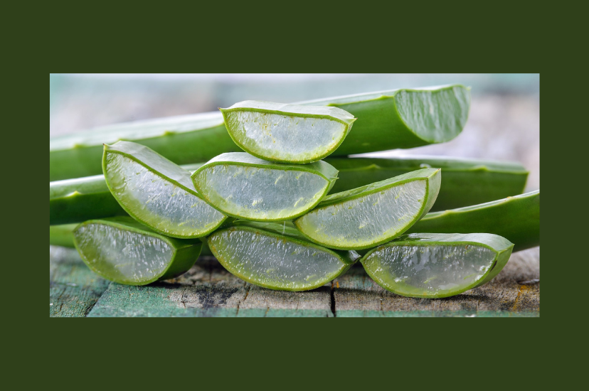 Aloe Vera And ED